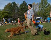 Dogtober Fest - A boy holding dogs on leashes