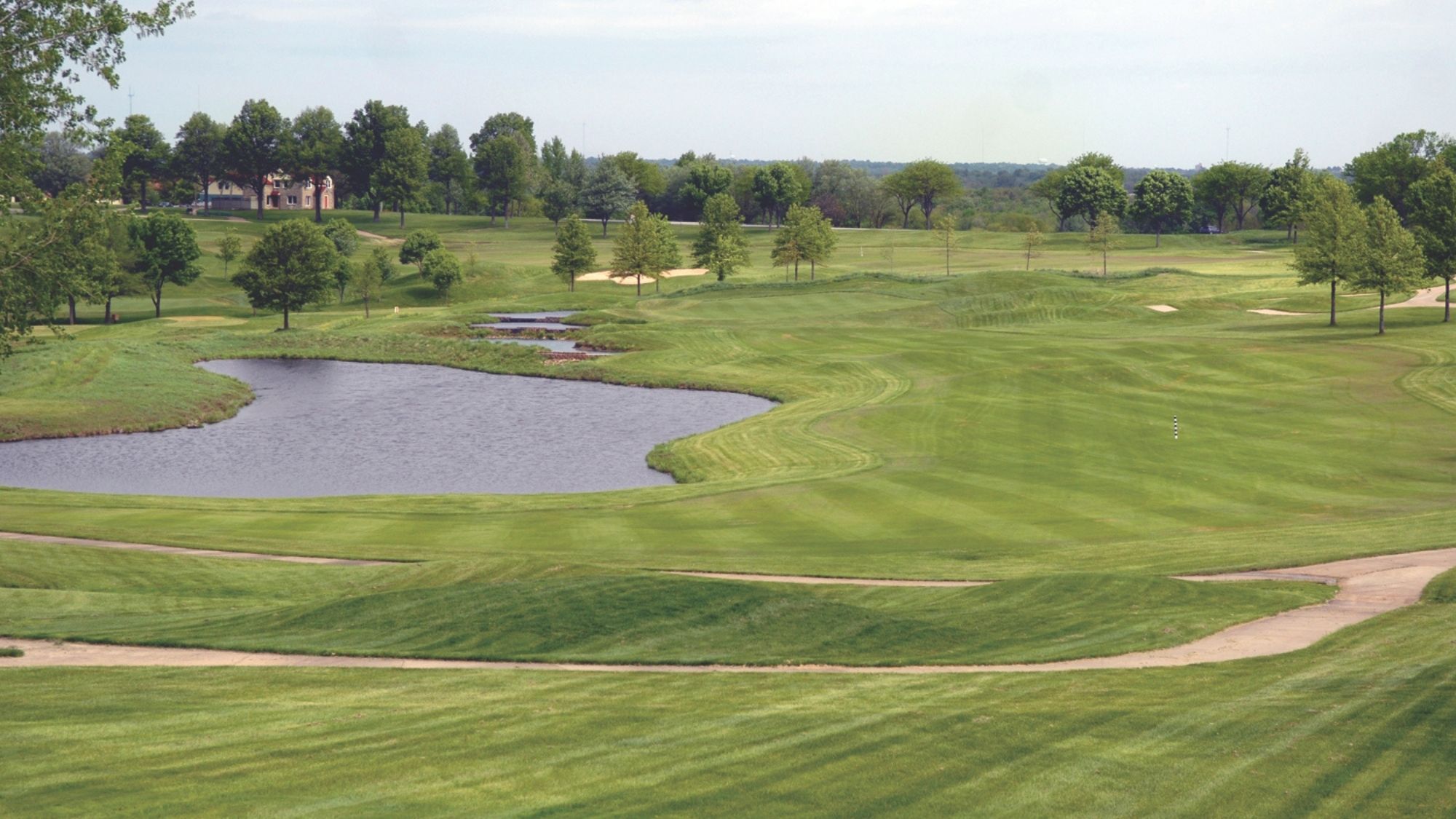 golf pic for website.jpg