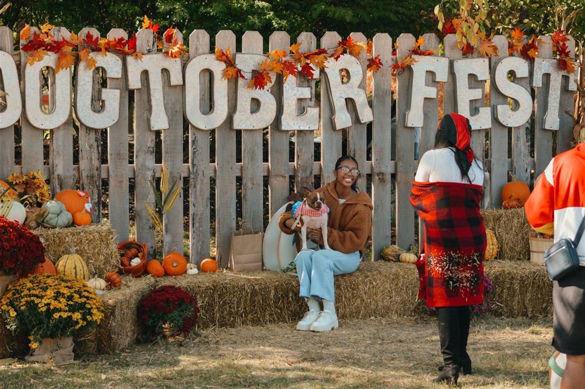 2024 Dogtober- Sign 1.jpg