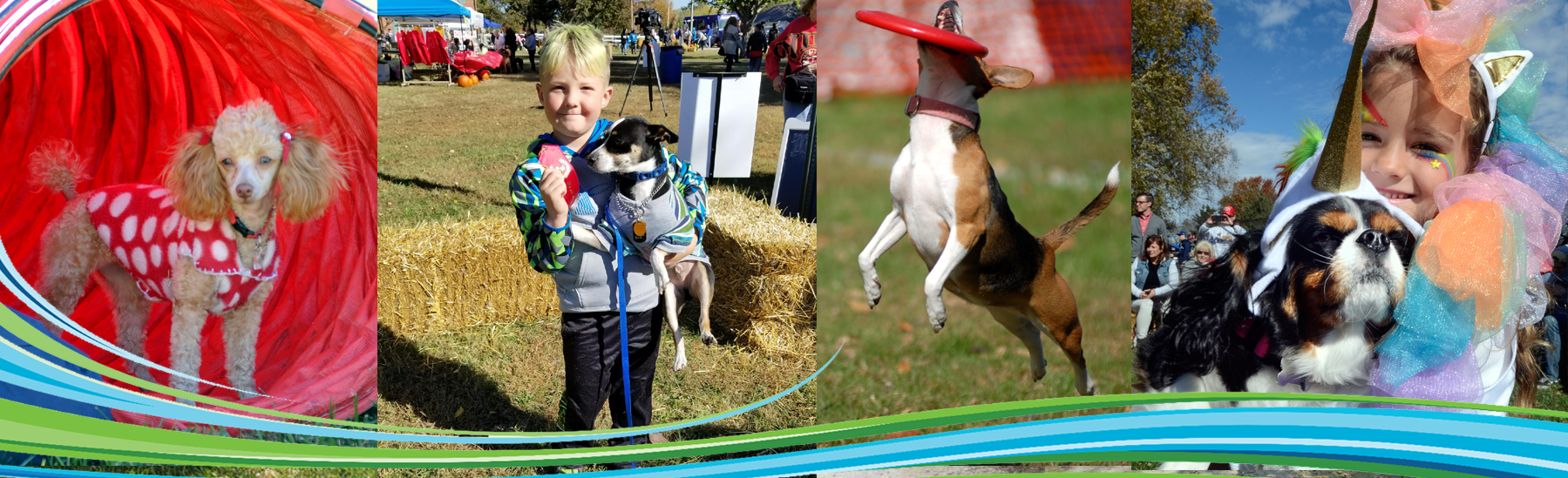 dogtoberfest.png